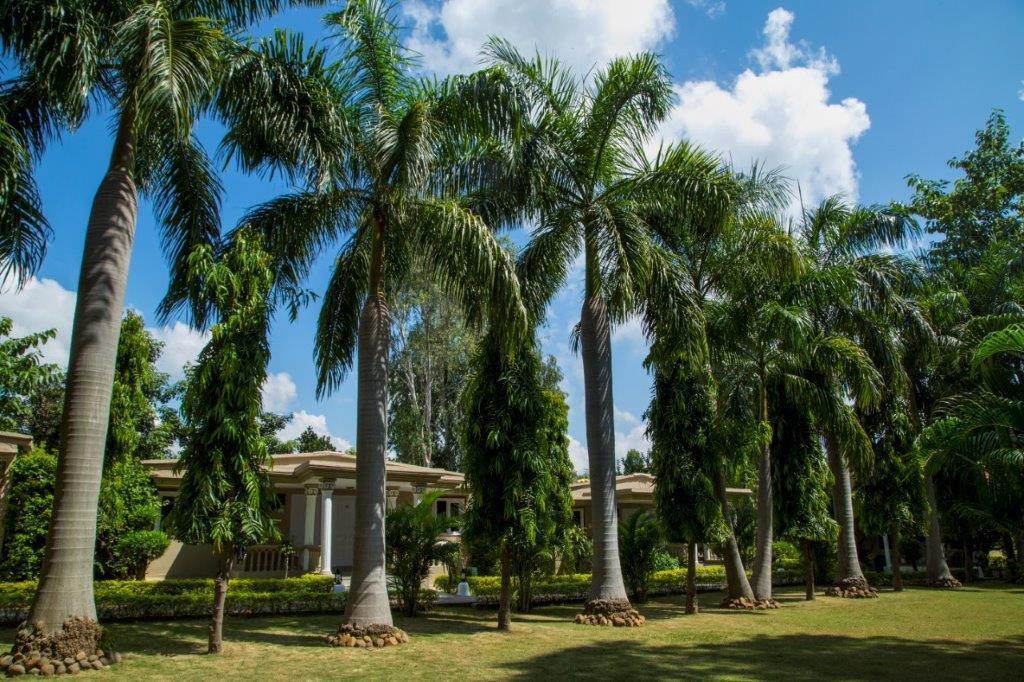Tiger'S Den Resort Bandhavgarh National Park Exterior foto